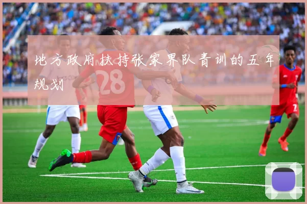 地方政府扶持张家界队青训的五年规划