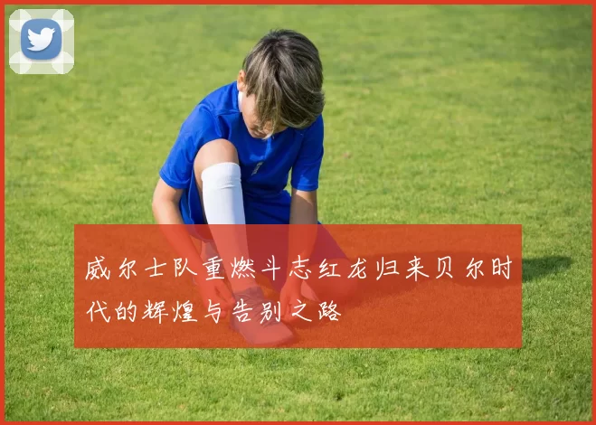 威尔士队重燃斗志红龙归来贝尔时代的辉煌与告别之路