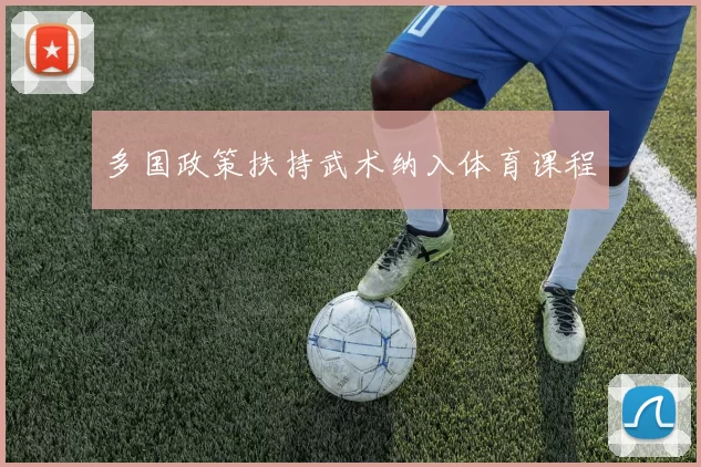多国政策扶持武术纳入体育课程