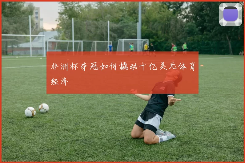 非洲杯夺冠如何撬动十亿美元体育经济