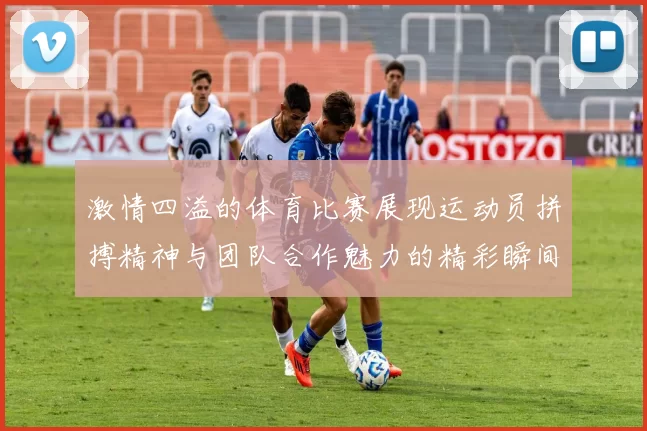 激情四溢的体育比赛展现运动员拼搏精神与团队合作魅力的精彩瞬间